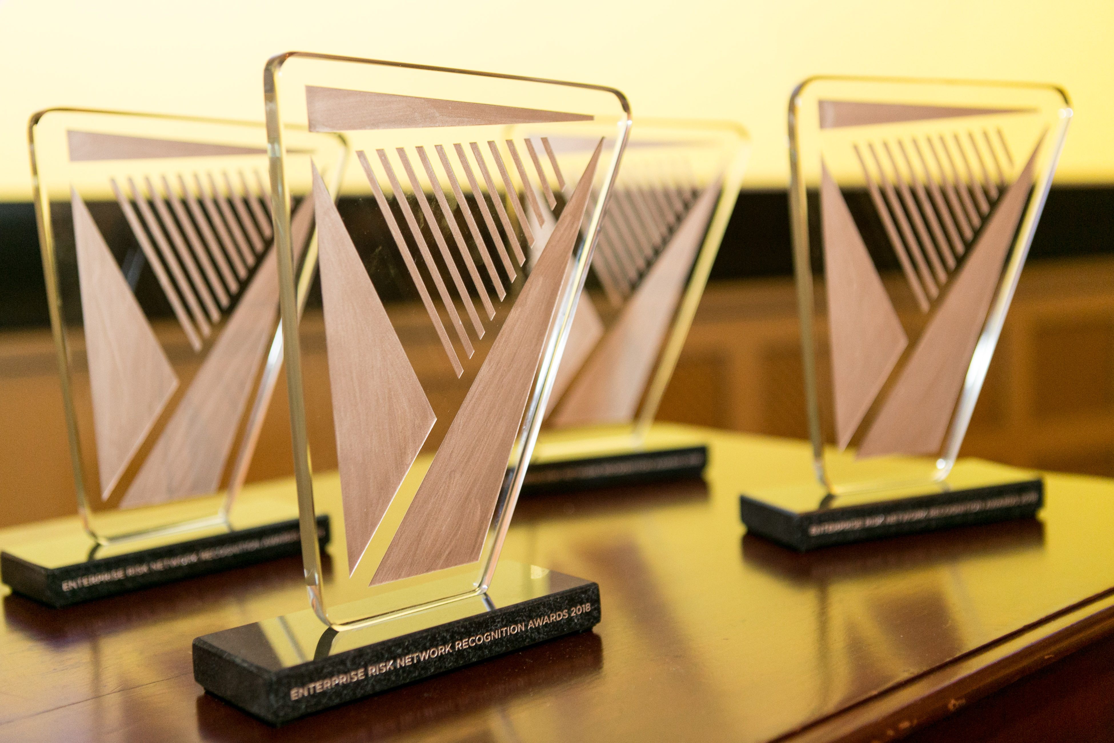 Enterprise Risk Network Recognition Awards 2023 - Open for entries